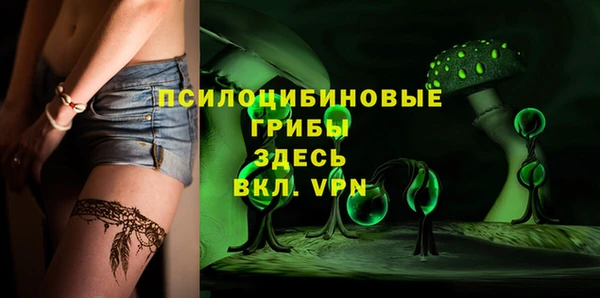 PSILOCYBIN Алзамай